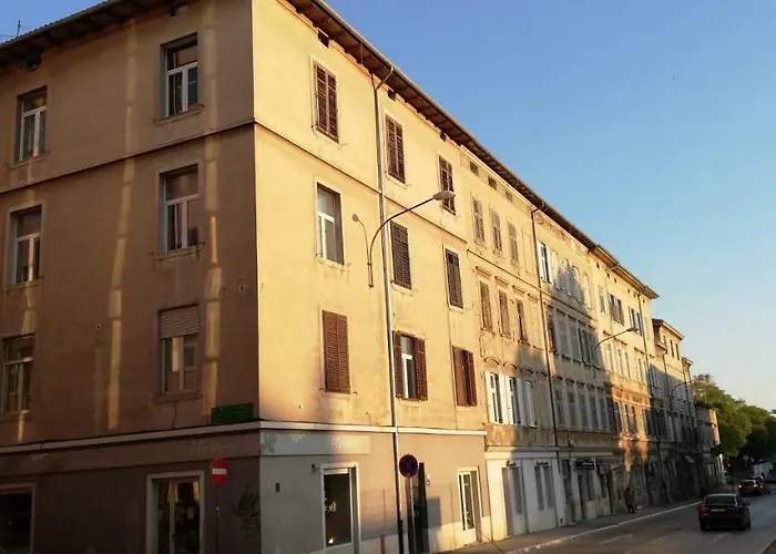 Zpula Center And Konukevi