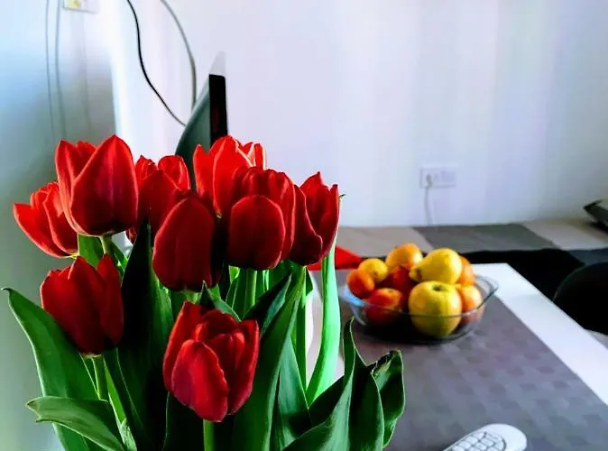 Zpula Center And בית הארחה