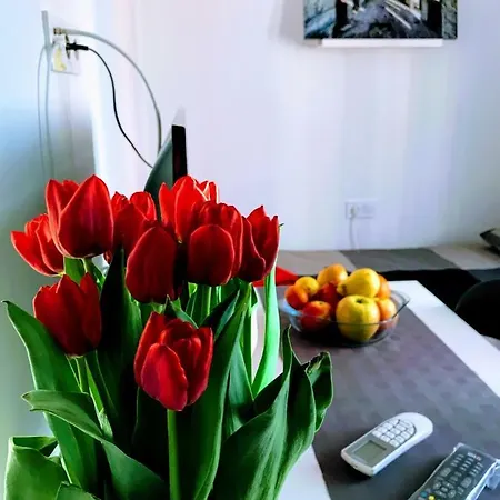 Zpula Center And Maison d'hôtes